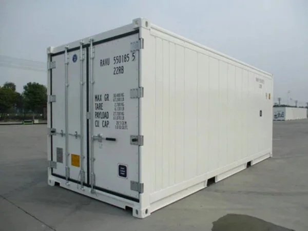 Container frigorifique 20 pieds - container reefer neuf pour stockage réfrigéré